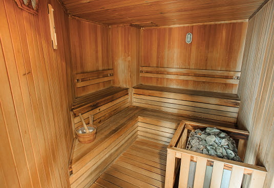 steam  sauna