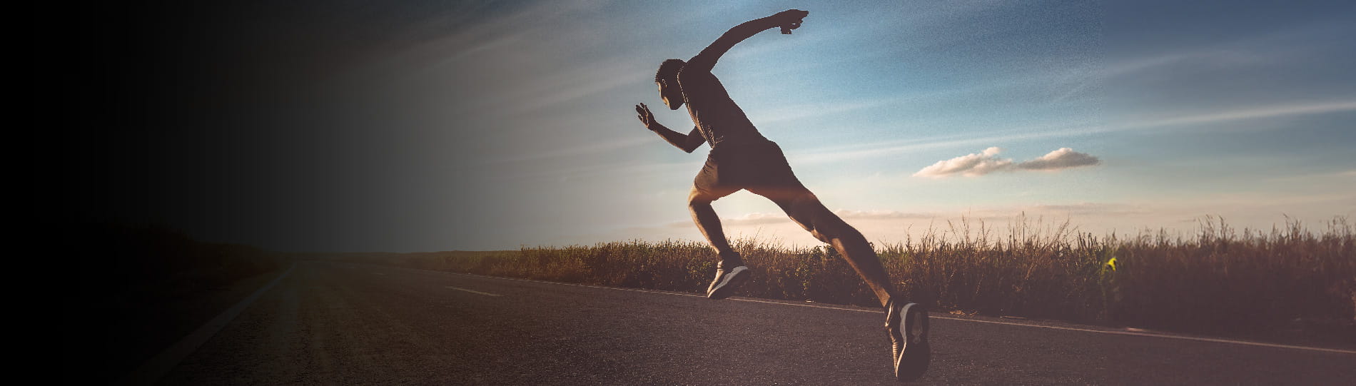 BOTTOM BANNER 1900x541px - NYAA 2024-01